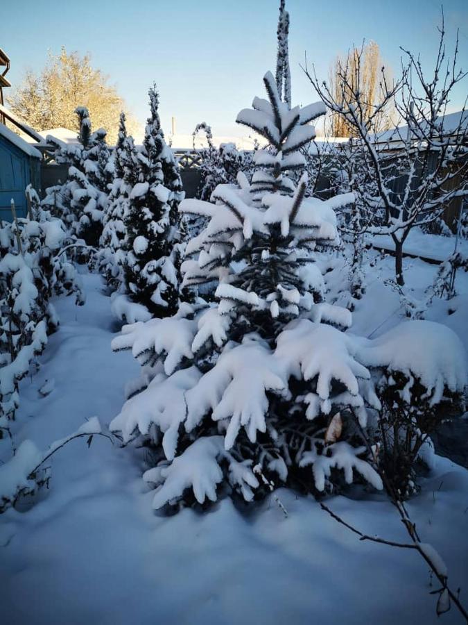 Загородный Коттедж Kek-Dzhar Buitenkant foto